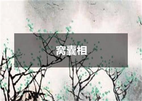 窝囊相