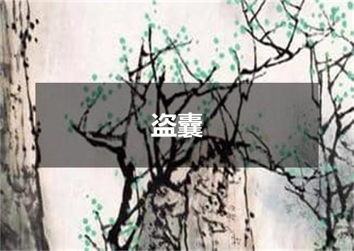 盗囊