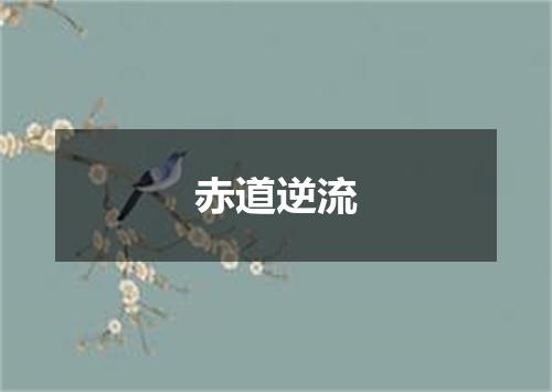 赤道逆流