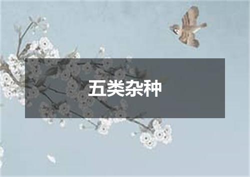 五类杂种