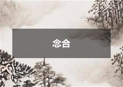 念合