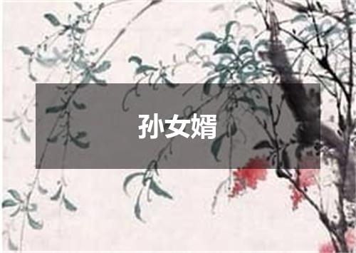 孙女婿