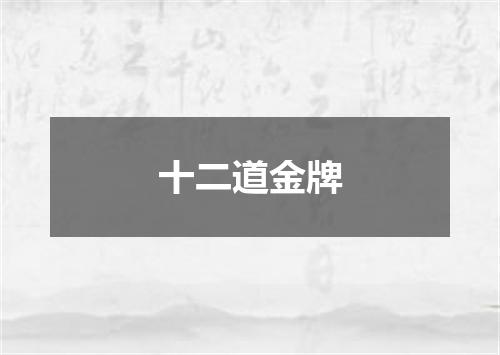 十二道金牌