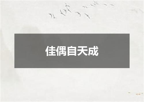 佳偶自天成