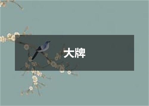 大牌