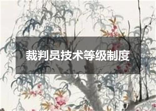裁判员技术等级制度