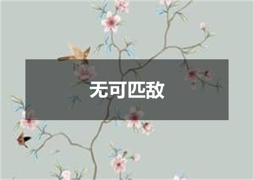 无可匹敌