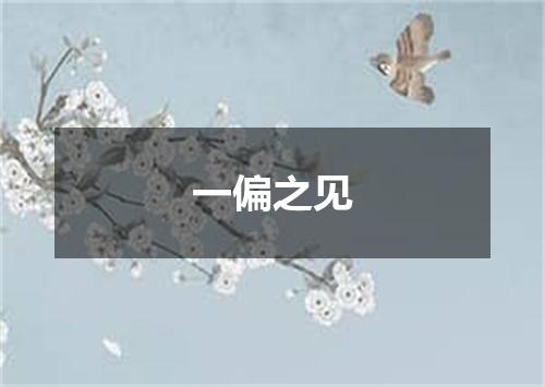 一偏之见