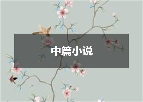 中篇小说