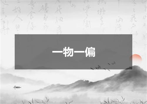 一物一偏