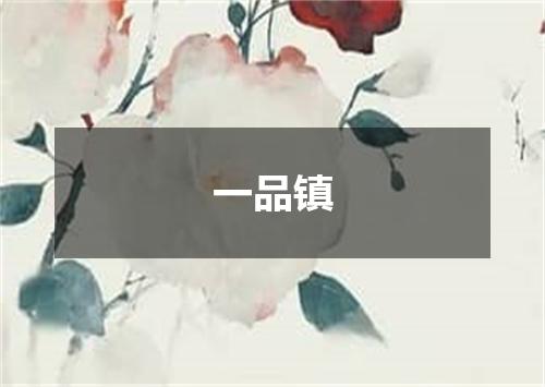 一品镇