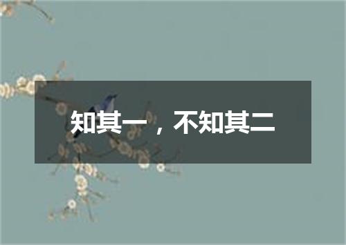 知其一，不知其二
