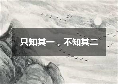 只知其一，不知其二
