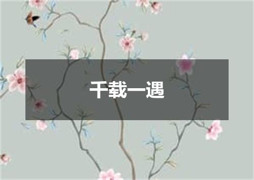 千载一遇