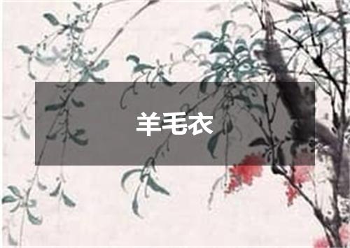 羊毛衣