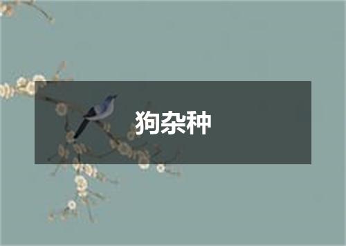 狗杂种