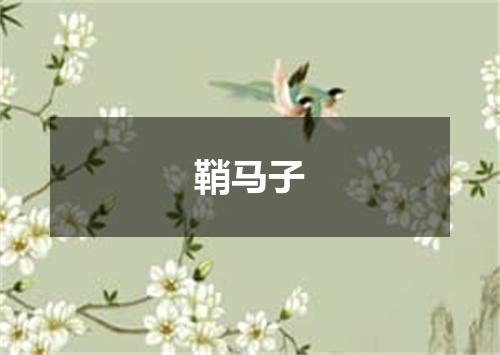 鞘马子