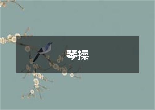 琴操