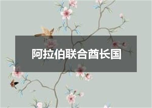 阿拉伯联合酋长国