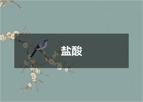 盐酸