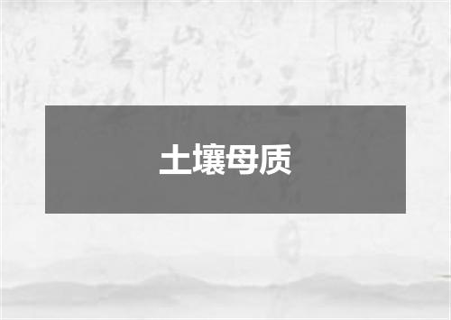 土壤母质