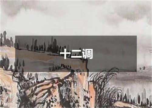 十二调