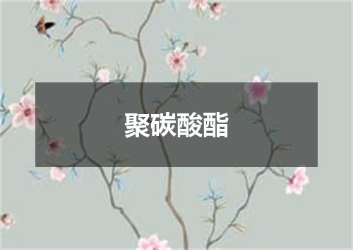 聚碳酸酯