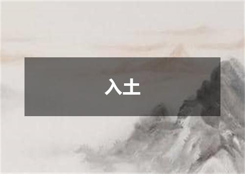 入土