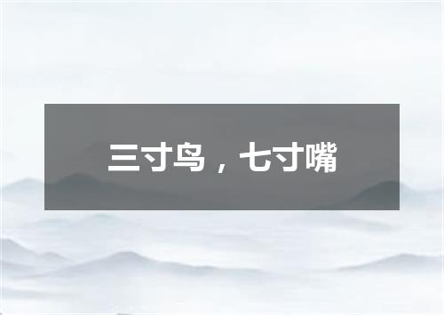 三寸鸟，七寸嘴
