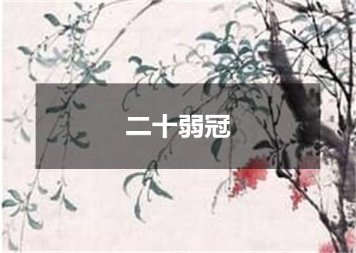 二十弱冠