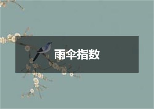 雨伞指数