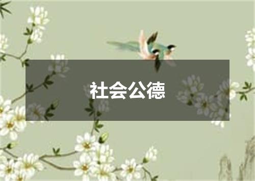 社会公德