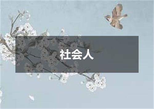 社会人