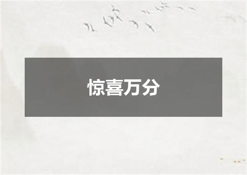 惊喜万分