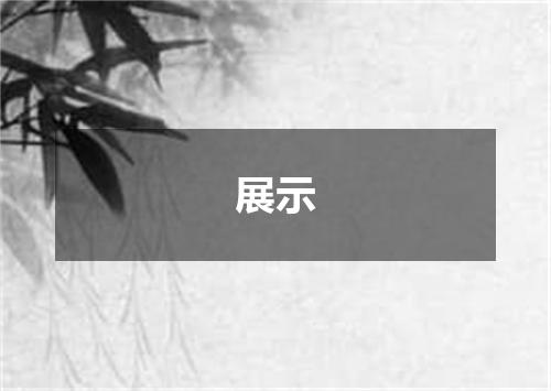 展示