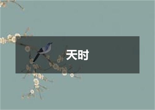 天时