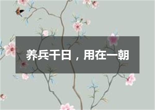 养兵千日，用在一朝