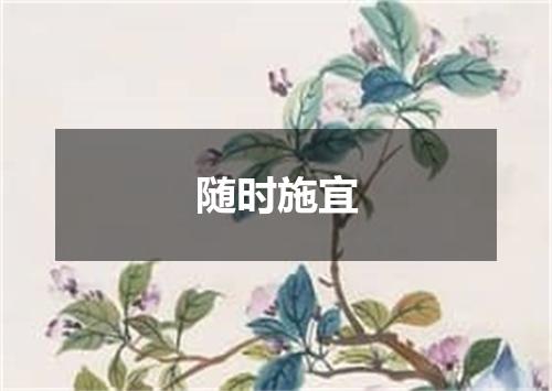 随时施宜