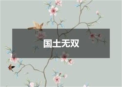 国土无双