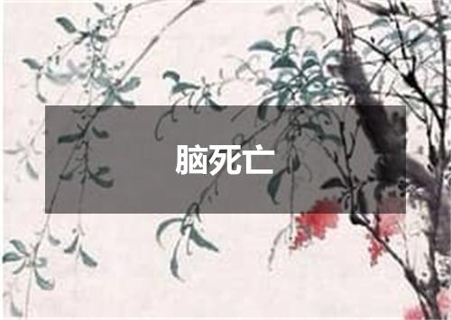 脑死亡