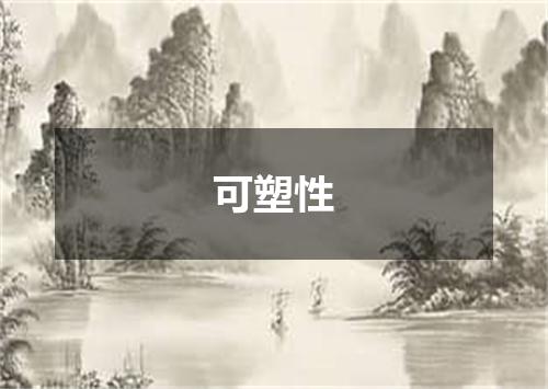 可塑性