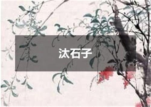 汰石子