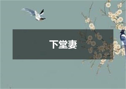 下堂妻