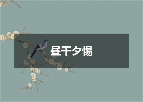 昼干夕惕