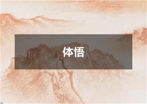 体悟