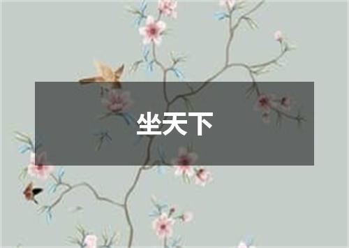 坐天下