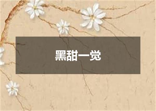 黑甜一觉