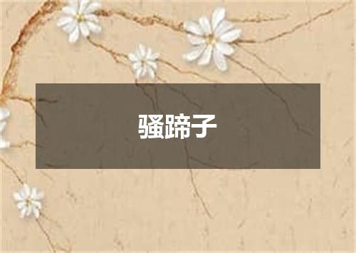 骚蹄子
