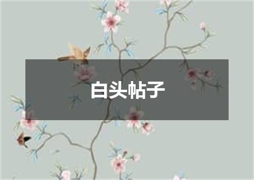 白头帖子