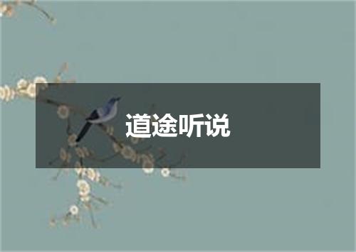 道途听说